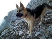 Salita sul PIZZO ARERA (2512 m.) dalla ‘variante alpinistica’ nord, raggiunta dalle Baite di Mezzeno il 24 settembre 2011 - FOTOGALLERY